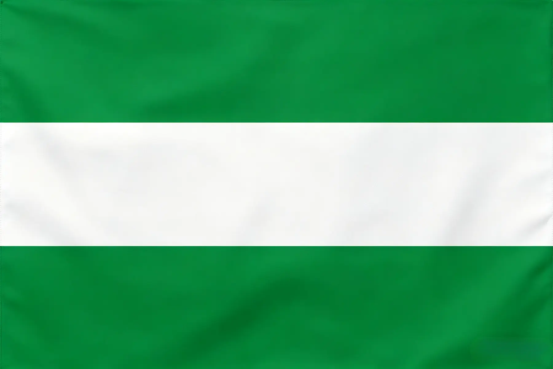 The flag of Nigeria